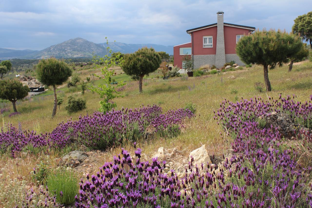 Finca El Enebro Valdemorillo Extérieur photo